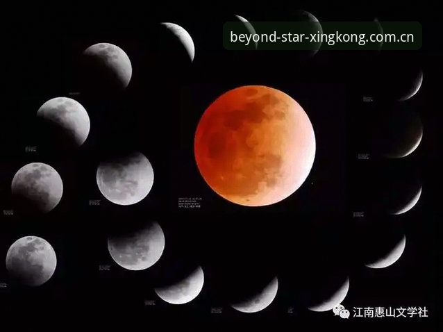 从"围观"到"参与"——我们定义看客玩法介绍与星空体育平台的深度对比